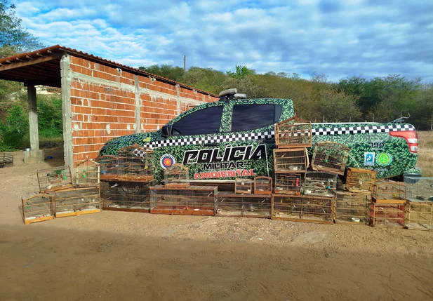 PM resgata aves durante operação