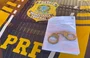 PRF cumpre mandado de prisão por pensão alimentícia