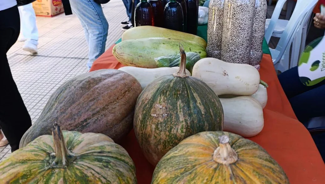 Produtos de Sigefredo Pacheco