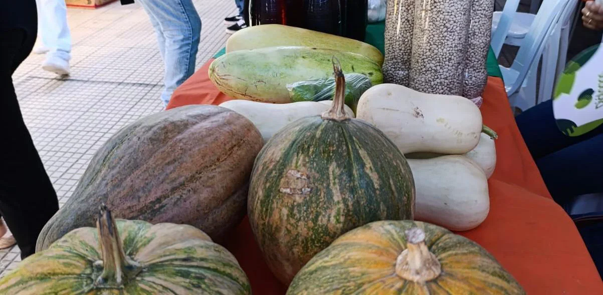 Produtos de Sigefredo Pacheco