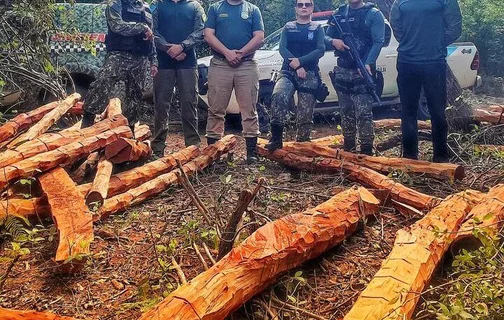 Semarh realiza Operação Carcará 01