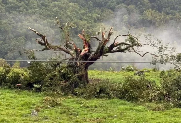 Tornado atingiu o Rio Grande do Sul