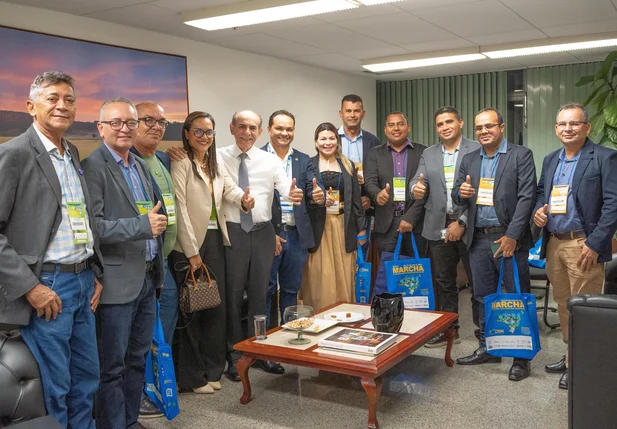 Vereadores da base de Pedro Gomes