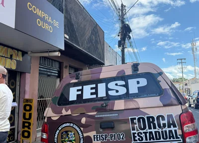A operação foi realizada em conjunto com a Polícia Civil