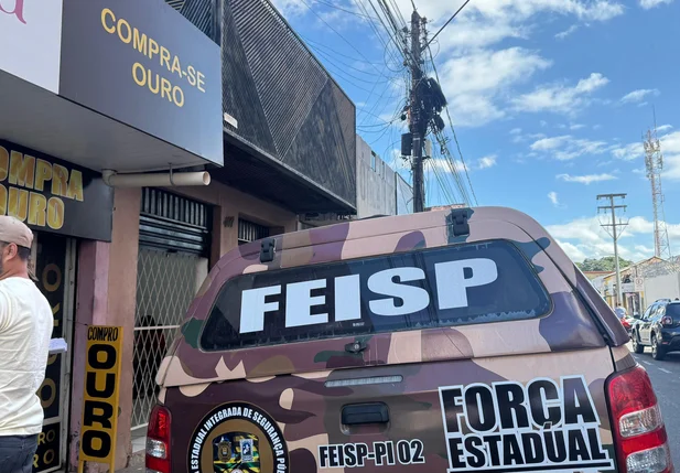A operação foi realizada em conjunto com a Polícia Civil
