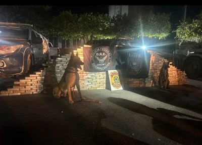 Apreensão de 450kg de maconha