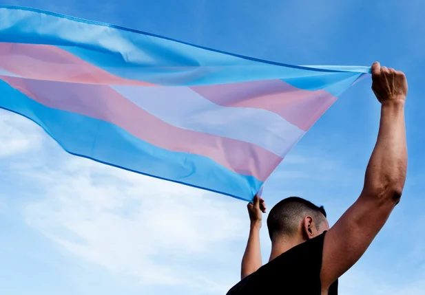 Bandeira trasgênero