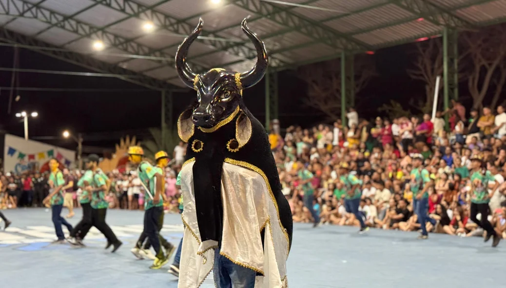 Bumba Meu Boi