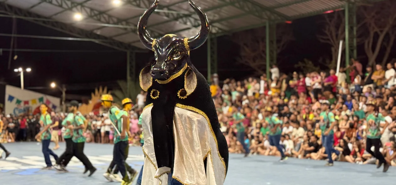 Bumba Meu Boi