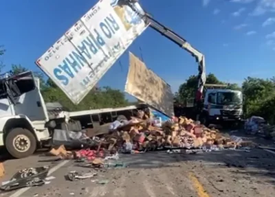 Caminhão tombou na BR 343 em Buriti dos Lopes