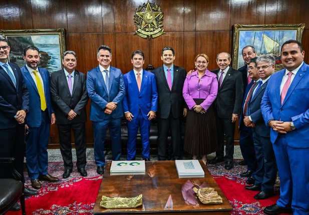 Encontro de parlamentares piauienses com Alcolumbre