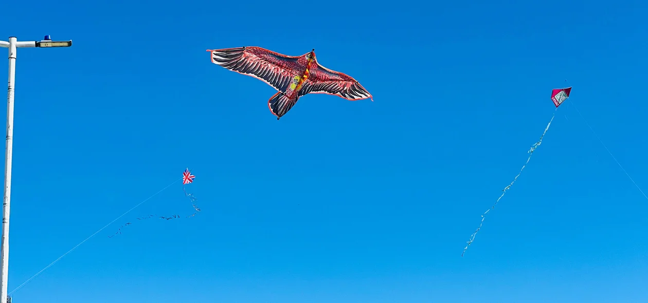 Festival de Pipas