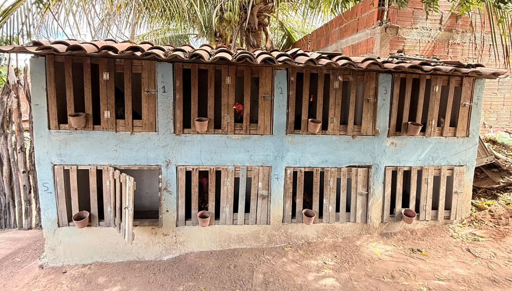 Local onde as aves ficavam presas