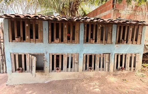Local onde as aves ficavam presas
