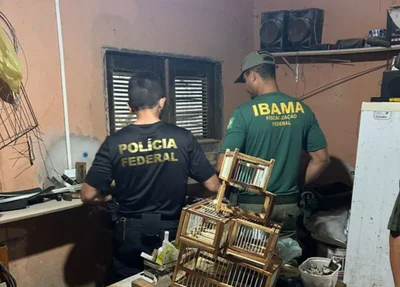 Operação Aracê III da Polícia Federal no Ceará