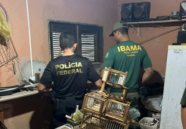 Operação Aracê III da Polícia Federal no Ceará