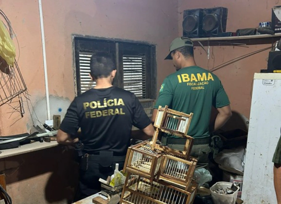 Operação Aracê III da Polícia Federal no Ceará