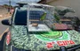 PM resgata dois papagaios mantidos ilegalmente em residência em Parnaíba