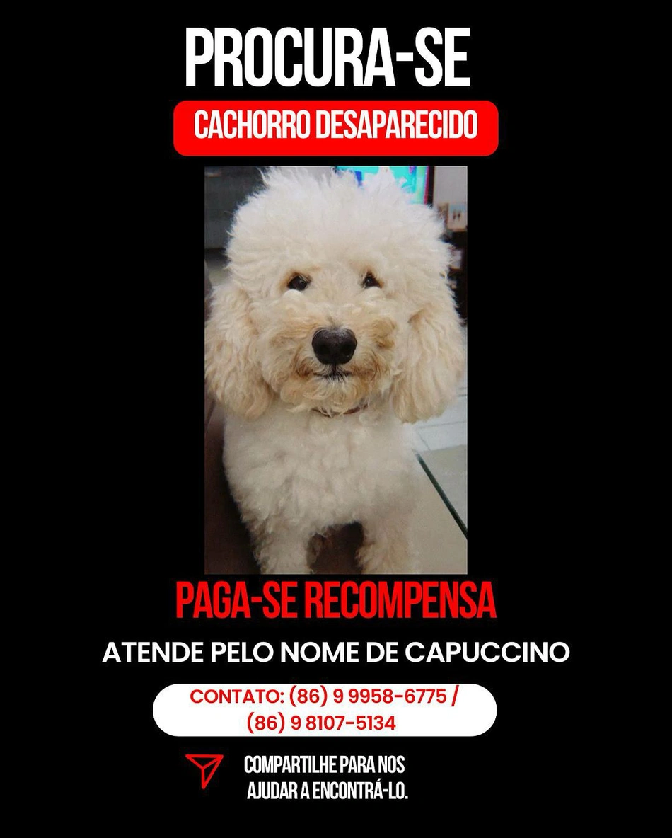 Postagem no instagram