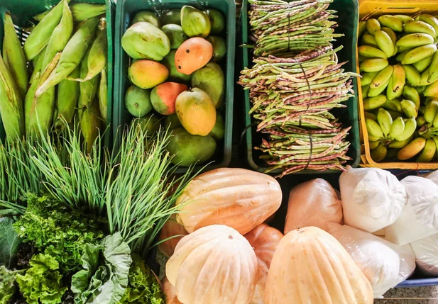 Alimentos da agricultura familiar