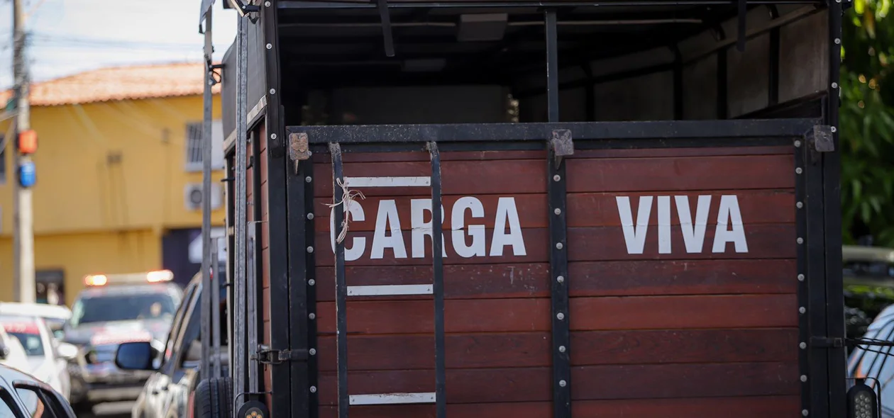 Carga viva apreendida durante operação