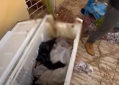 Corpo de uma mulher encontrado dentro de um freezer,