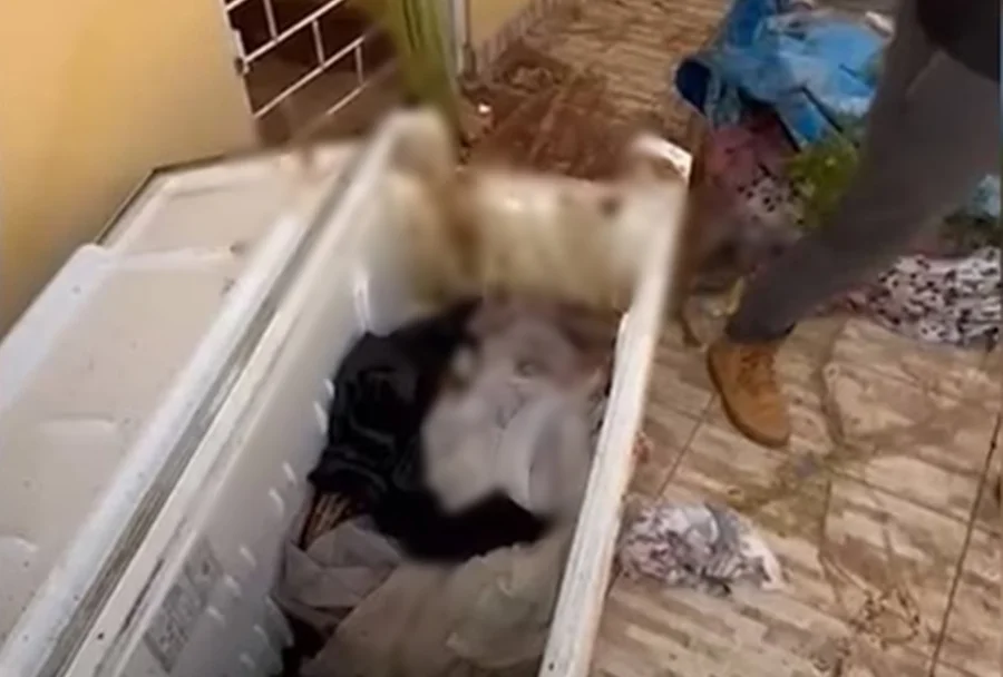 Corpo de uma mulher encontrado dentro de um freezer,