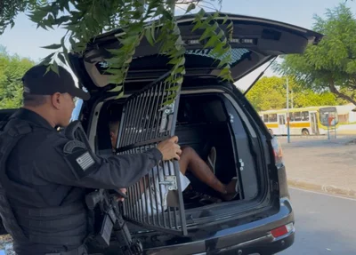 DRACO realiza operação em Floriano