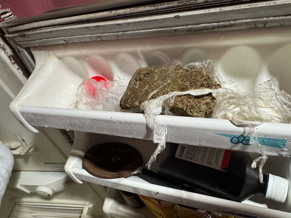Droga apreendida durante operação do DENARC