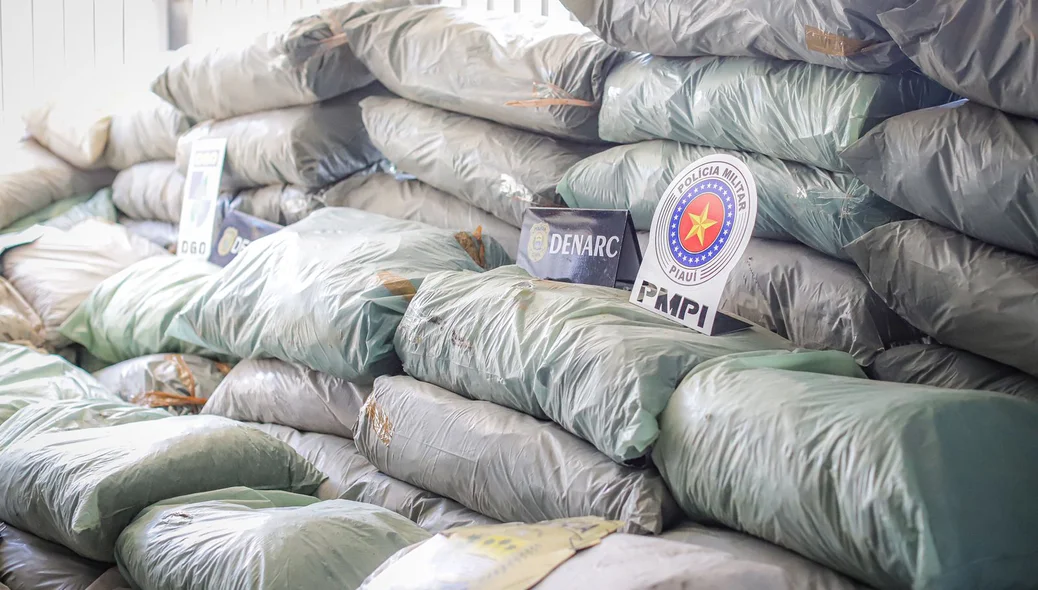 Droga apreendida em ação conjunta entre a PM e o DENARC