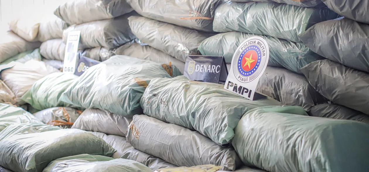 Droga apreendida em ação conjunta entre a PM e o DENARC