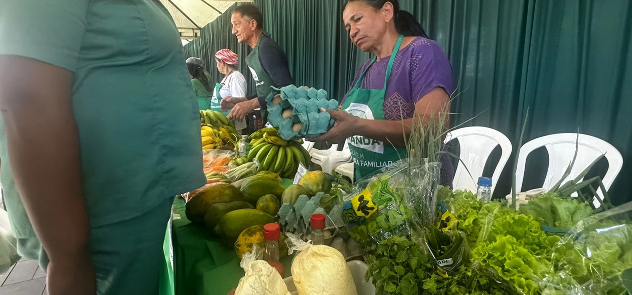 Feira da agricultura familiar