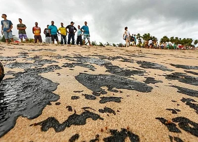 Grupo participa de ação para retirar óleo em praia no Nordeste