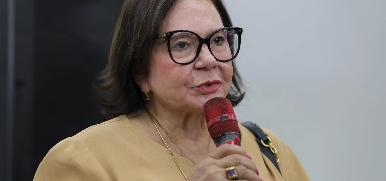 Maria Adelaide de Castro