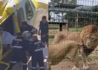 Mulher foi atacada por leão em zoológico