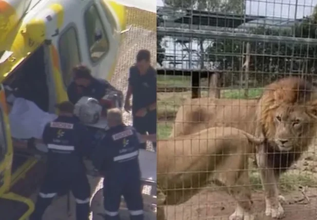 Mulher foi atacada por leão em zoológico