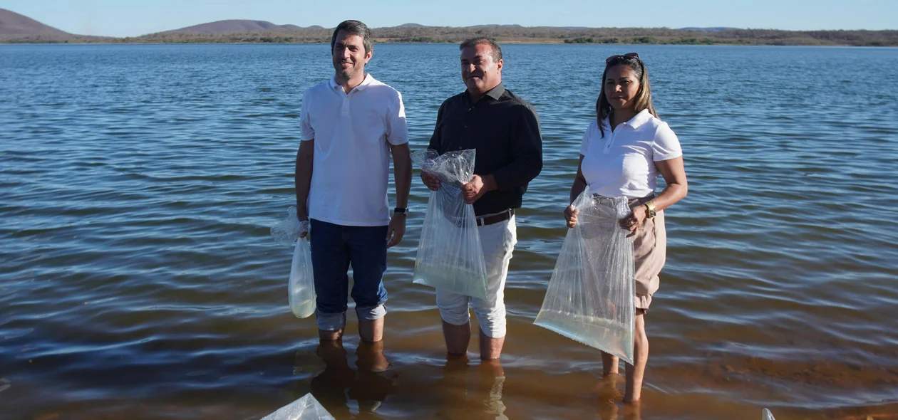 Peixes foram distribuídos na Barragem de Algodões II