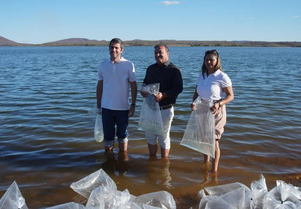 Peixes foram distribuídos na Barragem de Algodões II