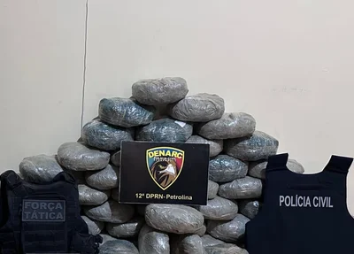 Polícia apreendeu 83 quilos de maconha no Sul do Piauí