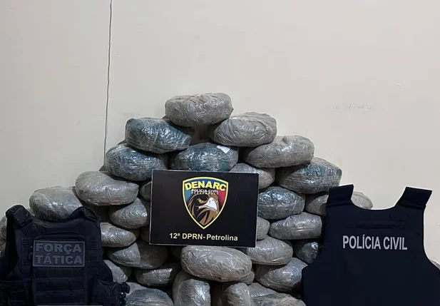 Polícia apreendeu 83 quilos de maconha no Sul do Piauí