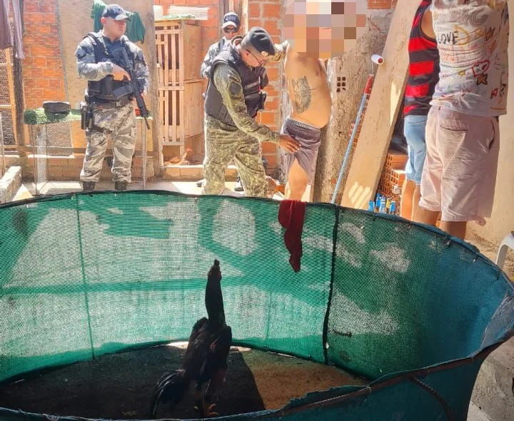 Polícia desarticulou rinha de galos em Teresina
