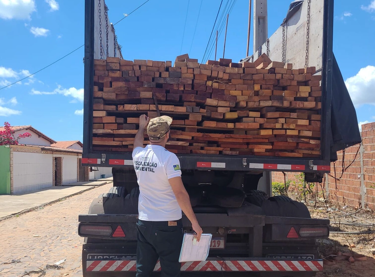 Polícia Rodoviária Federal e Semarh apreendem dois caminhões com madeira ilegal no litoral do Piauí