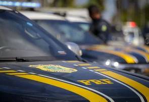 Motociclista fica ferido após atropelar animal na BR 343 em Teresina