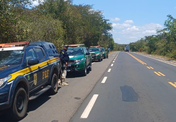 Ação da PRF resgatou 48 animais silvestres na BR-222