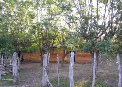 Casa onde acontecia os abusos