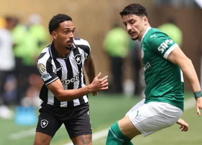 Duelo entre jogadores do Botafogo e Palmeiras