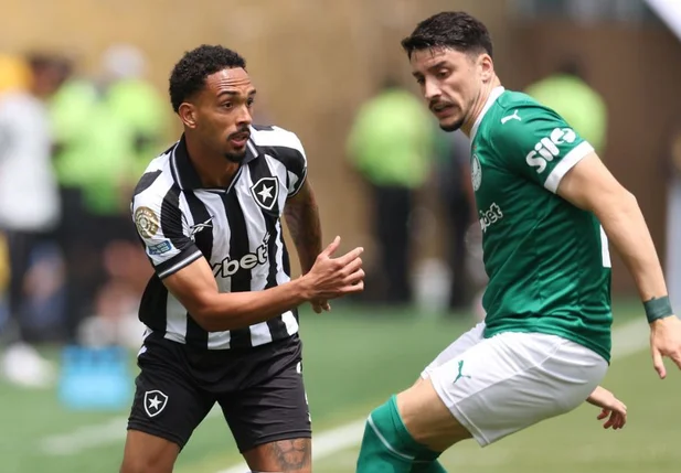 Duelo entre jogadores do Botafogo e Palmeiras
