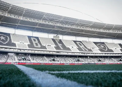 Estádio Nilton Santos