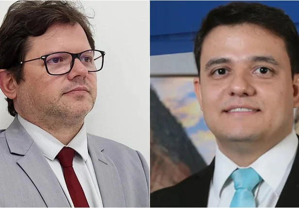 Flávio Almeida Martins e Henrique Martins Costa Silva