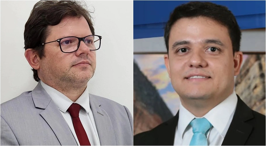 Flávio Almeida Martins e Henrique Martins Costa Silva